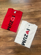 I love zumba one size tee